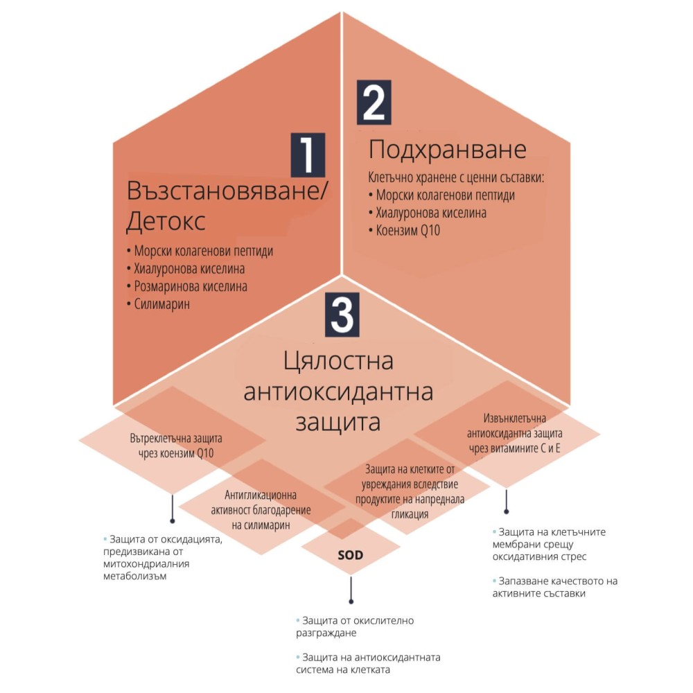 My Collagen Repair – Marine Collagen with Coenzyme Q10 for Skin Rejuvenation, 28 Sachets My Collagen Repair – Marine Collagen with Coenzyme Q10 for Skin Rejuvenation, 28 Sachets